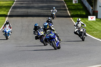 brands-hatch-photographs;brands-no-limits-trackday;cadwell-trackday-photographs;enduro-digital-images;event-digital-images;eventdigitalimages;no-limits-trackdays;peter-wileman-photography;racing-digital-images;trackday-digital-images;trackday-photos