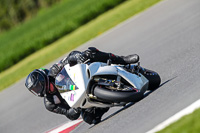 Advanced Group White Bikes