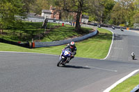 anglesey;brands-hatch;cadwell-park;croft;donington-park;enduro-digital-images;event-digital-images;eventdigitalimages;mallory;no-limits;oulton-park;peter-wileman-photography;racing-digital-images;silverstone;snetterton;trackday-digital-images;trackday-photos;vmcc-banbury-run;welsh-2-day-enduro