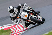 Advanced Group White Bikes