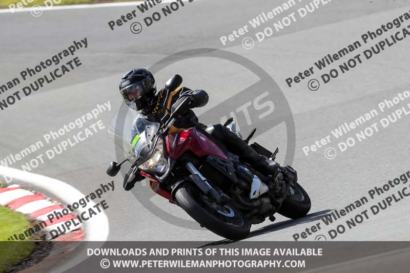 anglesey;brands hatch;cadwell park;croft;donington park;enduro digital images;event digital images;eventdigitalimages;mallory;no limits;oulton park;peter wileman photography;racing digital images;silverstone;snetterton;trackday digital images;trackday photos;vmcc banbury run;welsh 2 day enduro