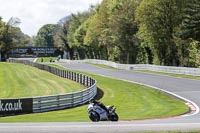 Lower Group Silver/Grey Bikes