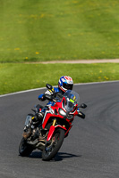 Lower Group Red Bikes