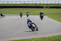 anglesey-no-limits-trackday;anglesey-photographs;anglesey-trackday-photographs;enduro-digital-images;event-digital-images;eventdigitalimages;no-limits-trackdays;peter-wileman-photography;racing-digital-images;trac-mon;trackday-digital-images;trackday-photos;ty-croes