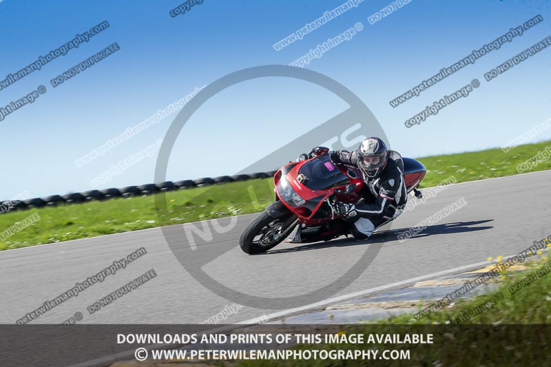 anglesey no limits trackday;anglesey photographs;anglesey trackday photographs;enduro digital images;event digital images;eventdigitalimages;no limits trackdays;peter wileman photography;racing digital images;trac mon;trackday digital images;trackday photos;ty croes