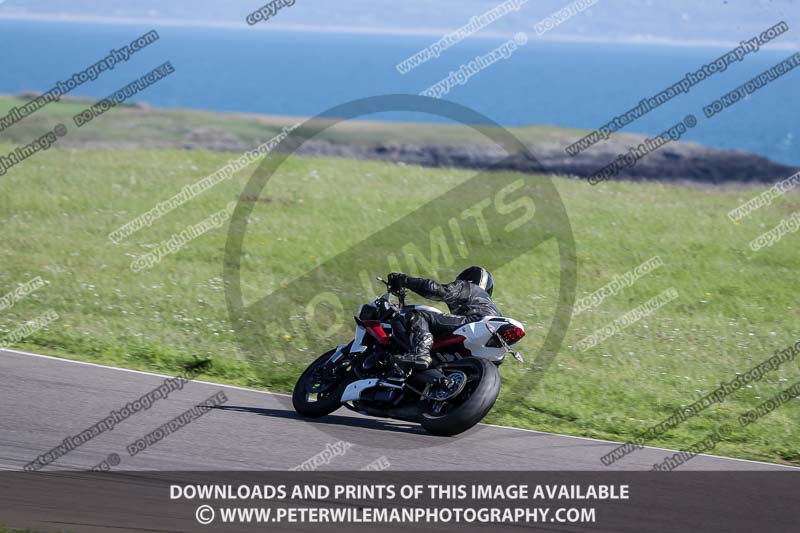 anglesey no limits trackday;anglesey photographs;anglesey trackday photographs;enduro digital images;event digital images;eventdigitalimages;no limits trackdays;peter wileman photography;racing digital images;trac mon;trackday digital images;trackday photos;ty croes