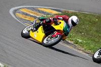 anglesey-no-limits-trackday;anglesey-photographs;anglesey-trackday-photographs;enduro-digital-images;event-digital-images;eventdigitalimages;no-limits-trackdays;peter-wileman-photography;racing-digital-images;trac-mon;trackday-digital-images;trackday-photos;ty-croes