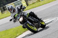 Lower Group Silver/Grey Bikes