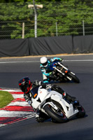 brands-hatch-photographs;brands-no-limits-trackday;cadwell-trackday-photographs;enduro-digital-images;event-digital-images;eventdigitalimages;no-limits-trackdays;peter-wileman-photography;racing-digital-images;trackday-digital-images;trackday-photos