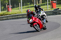 Lower Group Red Bikes