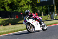 brands-hatch-photographs;brands-no-limits-trackday;cadwell-trackday-photographs;enduro-digital-images;event-digital-images;eventdigitalimages;no-limits-trackdays;peter-wileman-photography;racing-digital-images;trackday-digital-images;trackday-photos