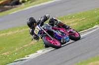 Advanced Group Silver/Grey Bikes