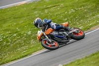 PJM-Photography;anglesey-no-limits-trackday;anglesey-photographs;anglesey-trackday-photographs;enduro-digital-images;event-digital-images;eventdigitalimages;no-limits-trackdays;peter-wileman-photography;racing-digital-images;trac-mon;trackday-digital-images;trackday-photos;ty-croes