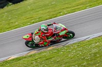 PJM-Photography;anglesey-no-limits-trackday;anglesey-photographs;anglesey-trackday-photographs;enduro-digital-images;event-digital-images;eventdigitalimages;no-limits-trackdays;peter-wileman-photography;racing-digital-images;trac-mon;trackday-digital-images;trackday-photos;ty-croes