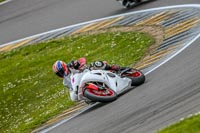 PJM-Photography;anglesey-no-limits-trackday;anglesey-photographs;anglesey-trackday-photographs;enduro-digital-images;event-digital-images;eventdigitalimages;no-limits-trackdays;peter-wileman-photography;racing-digital-images;trac-mon;trackday-digital-images;trackday-photos;ty-croes