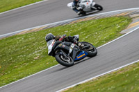 PJM-Photography;anglesey-no-limits-trackday;anglesey-photographs;anglesey-trackday-photographs;enduro-digital-images;event-digital-images;eventdigitalimages;no-limits-trackdays;peter-wileman-photography;racing-digital-images;trac-mon;trackday-digital-images;trackday-photos;ty-croes