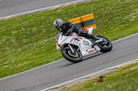 Lower Group White Bikes