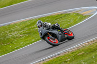 Middle Group Black Bikes
