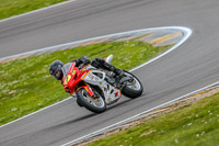 PJM-Photography;anglesey-no-limits-trackday;anglesey-photographs;anglesey-trackday-photographs;enduro-digital-images;event-digital-images;eventdigitalimages;no-limits-trackdays;peter-wileman-photography;racing-digital-images;trac-mon;trackday-digital-images;trackday-photos;ty-croes