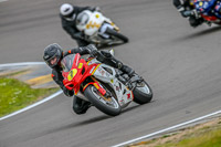 PJM-Photography;anglesey-no-limits-trackday;anglesey-photographs;anglesey-trackday-photographs;enduro-digital-images;event-digital-images;eventdigitalimages;no-limits-trackdays;peter-wileman-photography;racing-digital-images;trac-mon;trackday-digital-images;trackday-photos;ty-croes