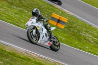 PJM-Photography;anglesey-no-limits-trackday;anglesey-photographs;anglesey-trackday-photographs;enduro-digital-images;event-digital-images;eventdigitalimages;no-limits-trackdays;peter-wileman-photography;racing-digital-images;trac-mon;trackday-digital-images;trackday-photos;ty-croes