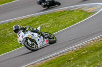PJM-Photography;anglesey-no-limits-trackday;anglesey-photographs;anglesey-trackday-photographs;enduro-digital-images;event-digital-images;eventdigitalimages;no-limits-trackdays;peter-wileman-photography;racing-digital-images;trac-mon;trackday-digital-images;trackday-photos;ty-croes