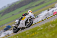 PJM-Photography;anglesey-no-limits-trackday;anglesey-photographs;anglesey-trackday-photographs;enduro-digital-images;event-digital-images;eventdigitalimages;no-limits-trackdays;peter-wileman-photography;racing-digital-images;trac-mon;trackday-digital-images;trackday-photos;ty-croes