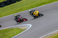 Middle Group Yellow Bikes