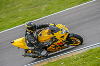 PJM-Photography;anglesey-no-limits-trackday;anglesey-photographs;anglesey-trackday-photographs;enduro-digital-images;event-digital-images;eventdigitalimages;no-limits-trackdays;peter-wileman-photography;racing-digital-images;trac-mon;trackday-digital-images;trackday-photos;ty-croes