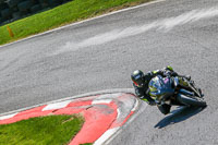 cadwell-no-limits-trackday;cadwell-park;cadwell-park-photographs;cadwell-trackday-photographs;enduro-digital-images;event-digital-images;eventdigitalimages;no-limits-trackdays;peter-wileman-photography;racing-digital-images;trackday-digital-images;trackday-photos