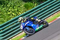 cadwell-no-limits-trackday;cadwell-park;cadwell-park-photographs;cadwell-trackday-photographs;enduro-digital-images;event-digital-images;eventdigitalimages;no-limits-trackdays;peter-wileman-photography;racing-digital-images;trackday-digital-images;trackday-photos