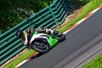 cadwell-no-limits-trackday;cadwell-park;cadwell-park-photographs;cadwell-trackday-photographs;enduro-digital-images;event-digital-images;eventdigitalimages;no-limits-trackdays;peter-wileman-photography;racing-digital-images;trackday-digital-images;trackday-photos