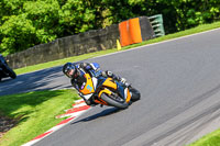 Advanced Group Orange Bikes