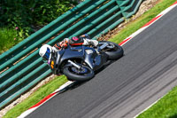 cadwell-no-limits-trackday;cadwell-park;cadwell-park-photographs;cadwell-trackday-photographs;enduro-digital-images;event-digital-images;eventdigitalimages;no-limits-trackdays;peter-wileman-photography;racing-digital-images;trackday-digital-images;trackday-photos