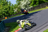 cadwell-no-limits-trackday;cadwell-park;cadwell-park-photographs;cadwell-trackday-photographs;enduro-digital-images;event-digital-images;eventdigitalimages;no-limits-trackdays;peter-wileman-photography;racing-digital-images;trackday-digital-images;trackday-photos