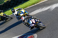 cadwell-no-limits-trackday;cadwell-park;cadwell-park-photographs;cadwell-trackday-photographs;enduro-digital-images;event-digital-images;eventdigitalimages;no-limits-trackdays;peter-wileman-photography;racing-digital-images;trackday-digital-images;trackday-photos