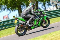 Lower Group Green Bikes