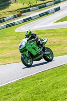 Lower Group Green Bikes