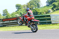 cadwell-no-limits-trackday;cadwell-park;cadwell-park-photographs;cadwell-trackday-photographs;enduro-digital-images;event-digital-images;eventdigitalimages;no-limits-trackdays;peter-wileman-photography;racing-digital-images;trackday-digital-images;trackday-photos