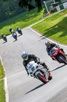 Lower Group White Bikes