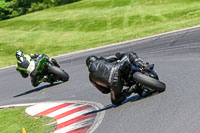 Middle Group Black Bikes