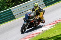 cadwell-no-limits-trackday;cadwell-park;cadwell-park-photographs;cadwell-trackday-photographs;enduro-digital-images;event-digital-images;eventdigitalimages;no-limits-trackdays;peter-wileman-photography;racing-digital-images;trackday-digital-images;trackday-photos