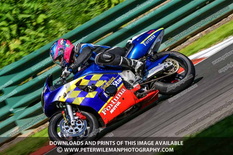 cadwell no limits trackday;cadwell park;cadwell park photographs;cadwell trackday photographs;enduro digital images;event digital images;eventdigitalimages;no limits trackdays;peter wileman photography;racing digital images;trackday digital images;trackday photos