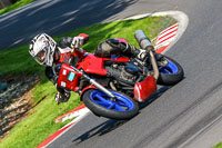 cadwell-no-limits-trackday;cadwell-park;cadwell-park-photographs;cadwell-trackday-photographs;enduro-digital-images;event-digital-images;eventdigitalimages;no-limits-trackdays;peter-wileman-photography;racing-digital-images;trackday-digital-images;trackday-photos