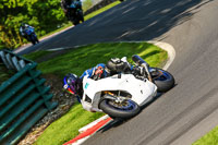 cadwell-no-limits-trackday;cadwell-park;cadwell-park-photographs;cadwell-trackday-photographs;enduro-digital-images;event-digital-images;eventdigitalimages;no-limits-trackdays;peter-wileman-photography;racing-digital-images;trackday-digital-images;trackday-photos