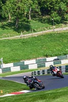 Black Bikes