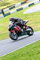 cadwell-no-limits-trackday;cadwell-park;cadwell-park-photographs;cadwell-trackday-photographs;enduro-digital-images;event-digital-images;eventdigitalimages;no-limits-trackdays;peter-wileman-photography;racing-digital-images;trackday-digital-images;trackday-photos