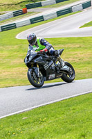 cadwell-no-limits-trackday;cadwell-park;cadwell-park-photographs;cadwell-trackday-photographs;enduro-digital-images;event-digital-images;eventdigitalimages;no-limits-trackdays;peter-wileman-photography;racing-digital-images;trackday-digital-images;trackday-photos