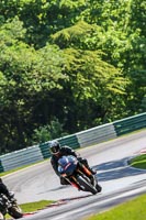 Black Bikes
