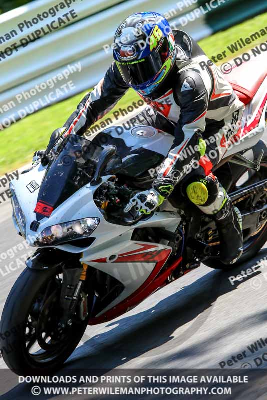 cadwell no limits trackday;cadwell park;cadwell park photographs;cadwell trackday photographs;enduro digital images;event digital images;eventdigitalimages;no limits trackdays;peter wileman photography;racing digital images;trackday digital images;trackday photos